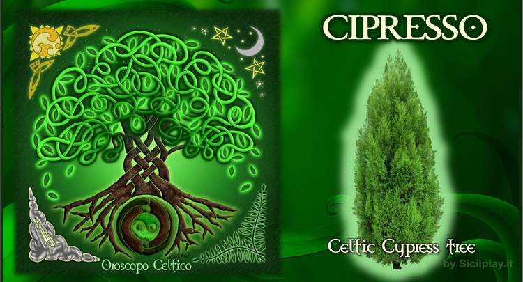 Oroscopo Celtico - segno Cipresso