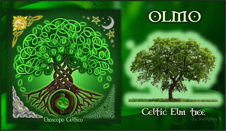 Oroscopo Celtico - Segno Olmo