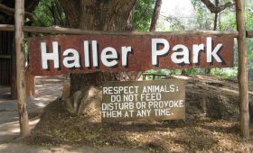 Turismo in Mombasa - Haller Park